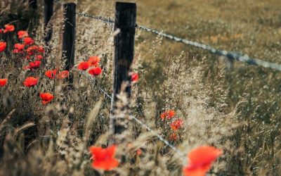 We will remember them